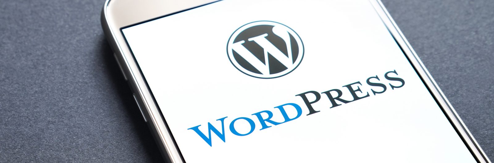 wordpress development services